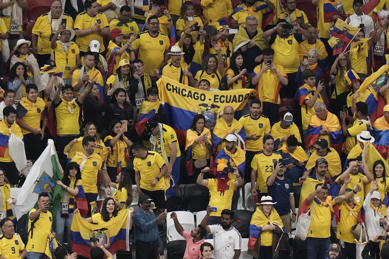Qatar lần đầu vi phạm World Cup: FIFA mở hồ sơ điều tra khẩu hiệu kỳ thị CĐV xin bia