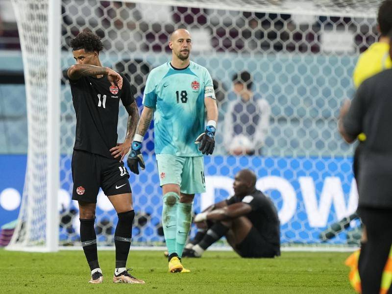 FIFA sẽ có hành động kỷ luật đối với sự phân biệt đối xử của người hâm mộ đối với thủ môn người Canada Bojan