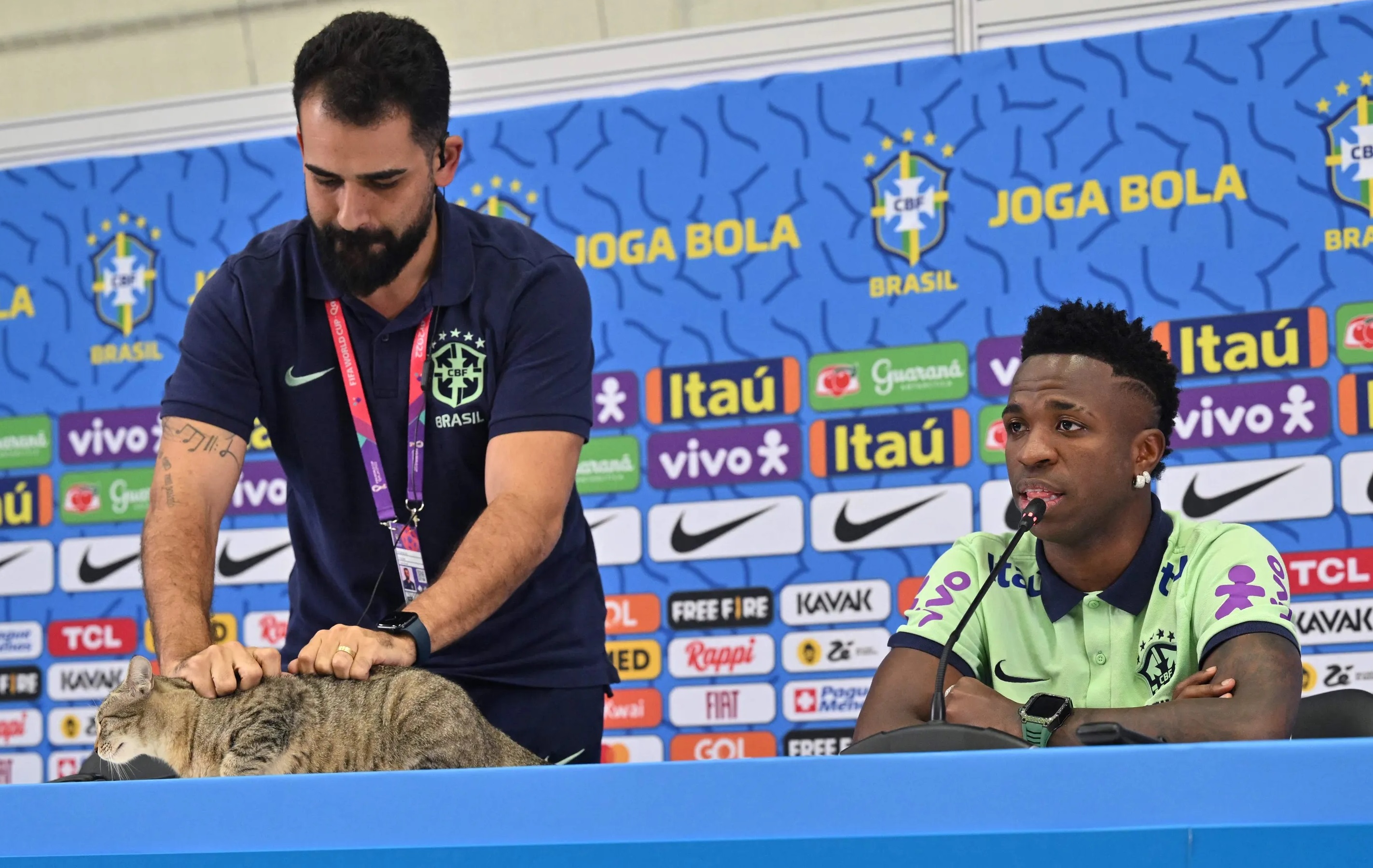 World Cup - a cat jumped on the podium, Brazilian press officer criticized for chasing cats