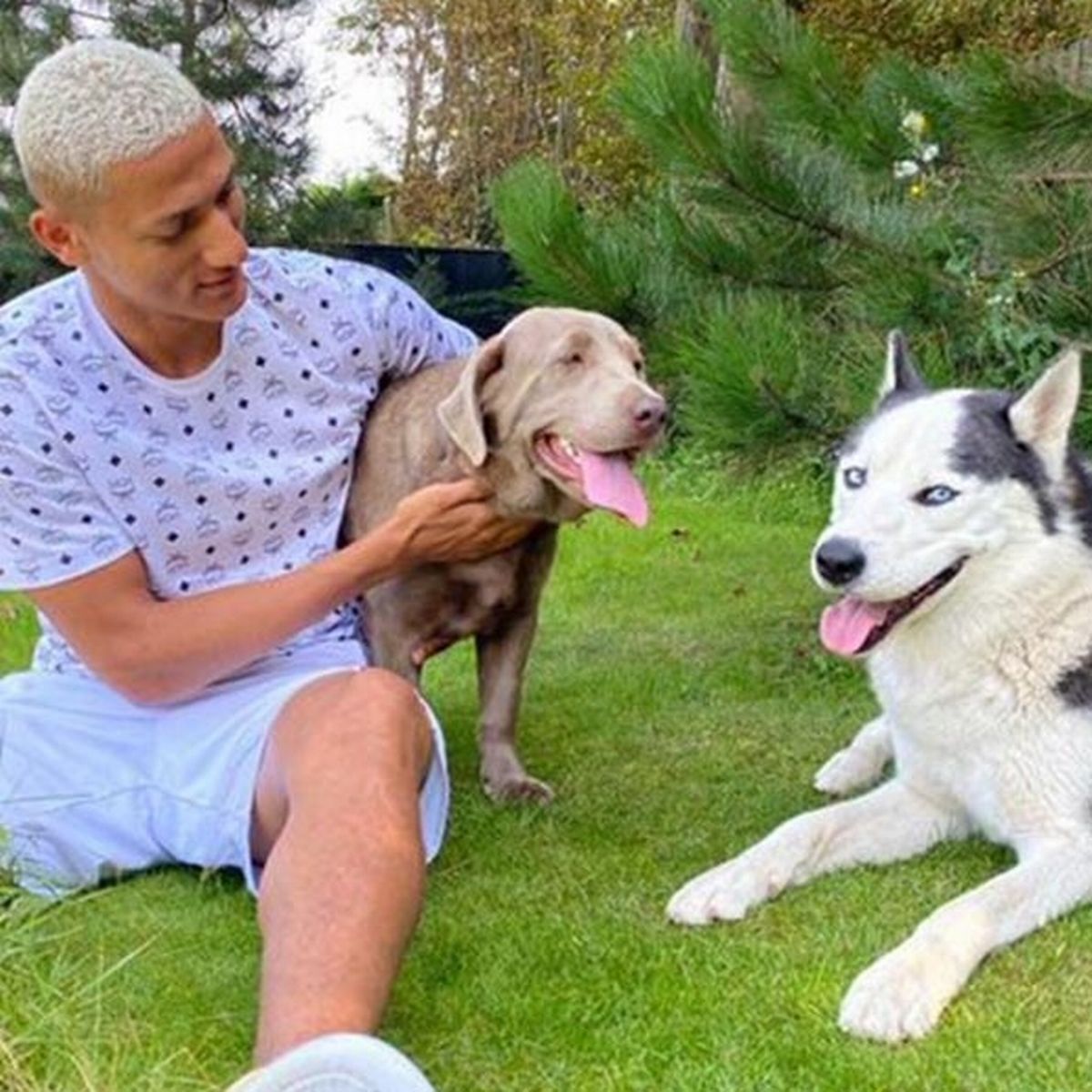 Tottenham striker Richarlison suspected of animal cruelty for barking and disturbing dogs