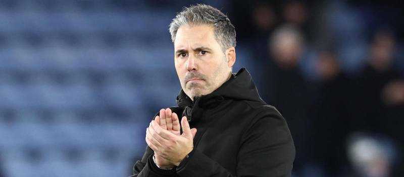 Championship club Leicester City sacks manager Hiffontes